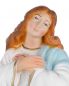 Preview: Madonna 30 cm Santa Maria Assunta - Resin